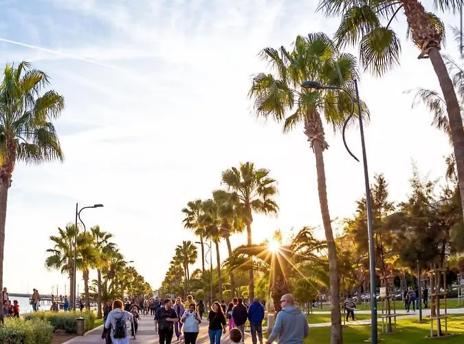 One アパート リマソール